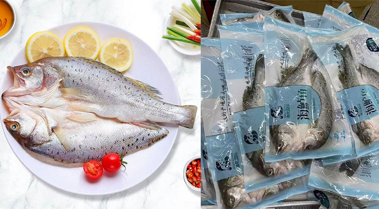 海魚金屬金屬異物檢測